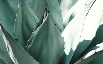 How to Heal Acid Reflux and GERD Naturally – Part 2